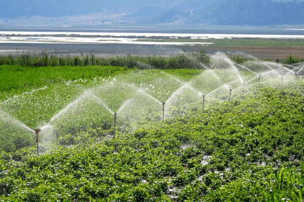 Automated Irrigation System