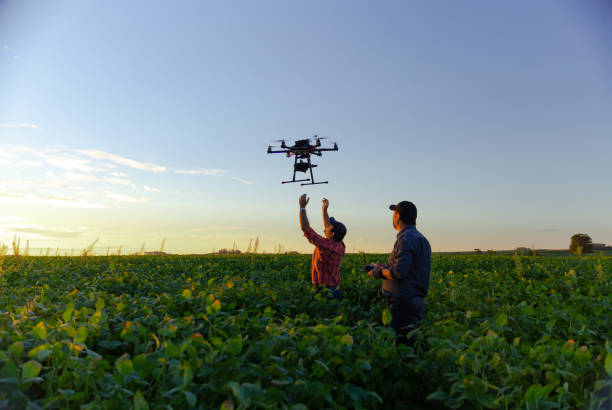 Crop Health Drone